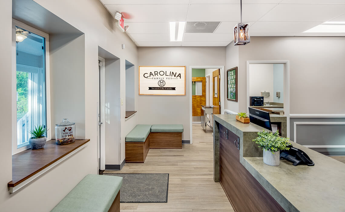 Facilities veterinary animal hospital in asheville nc carolina