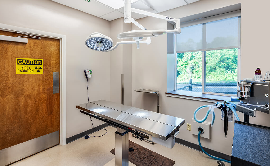 Facilities veterinary animal hospital in asheville nc carolina