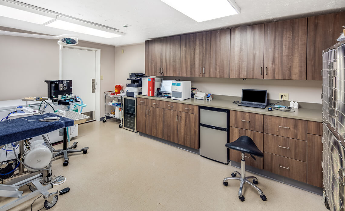 Facilities veterinary animal hospital in asheville nc carolina