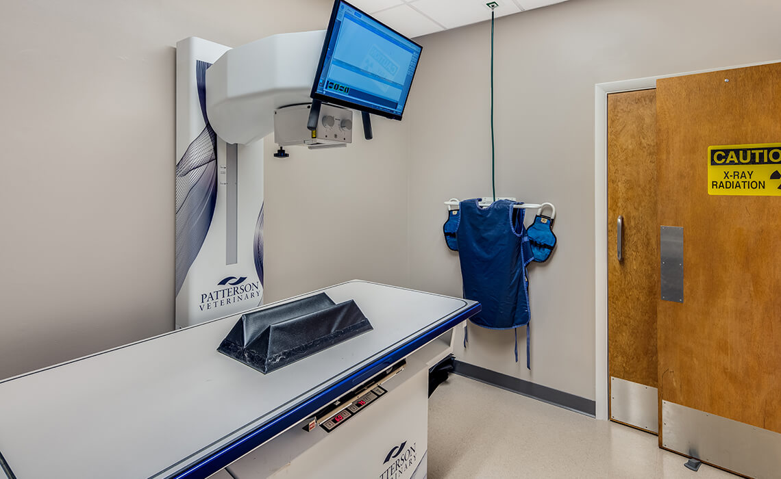 Facilities veterinary animal hospital in asheville nc carolina