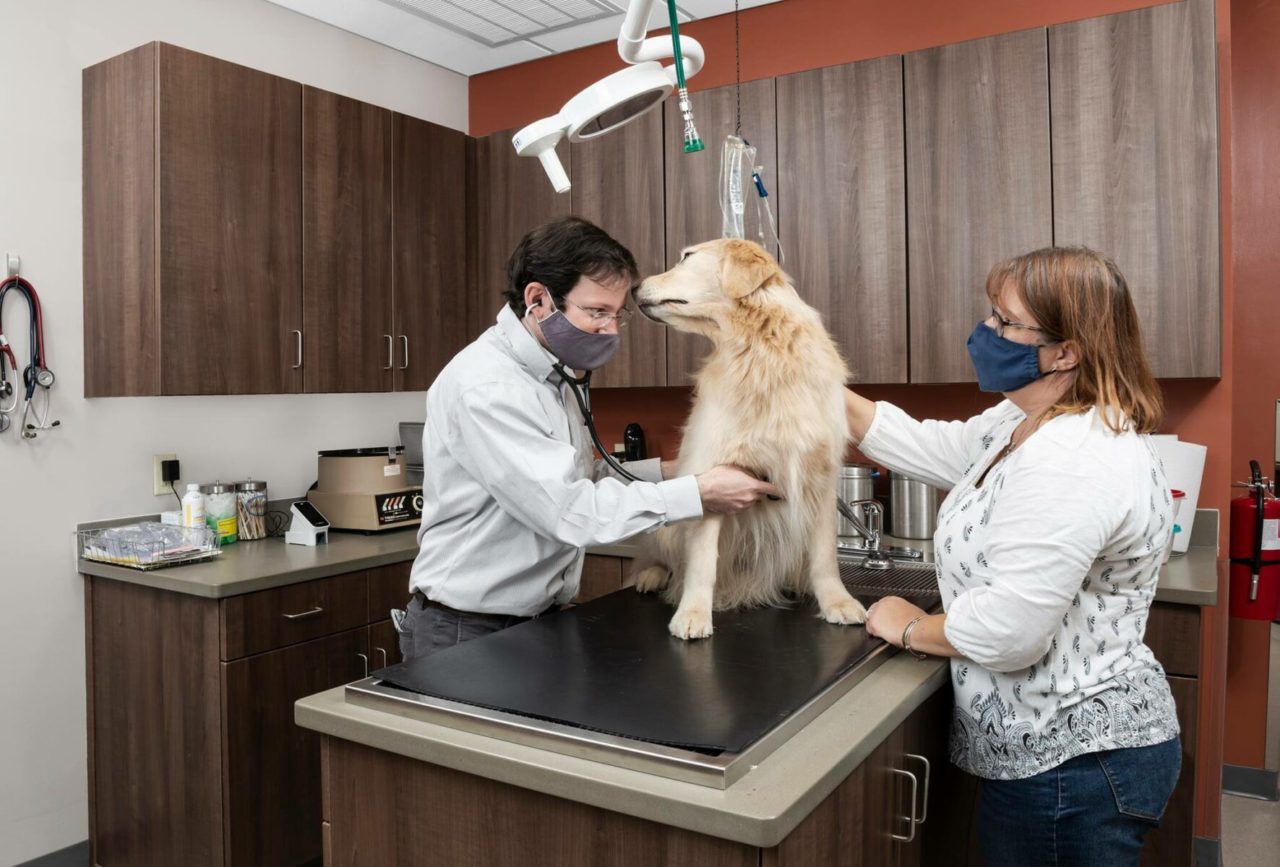 Asheville, NC 28806 Veterinarians | Carolina Family Vet