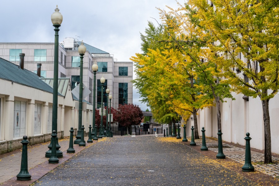 Fall Asheville Street